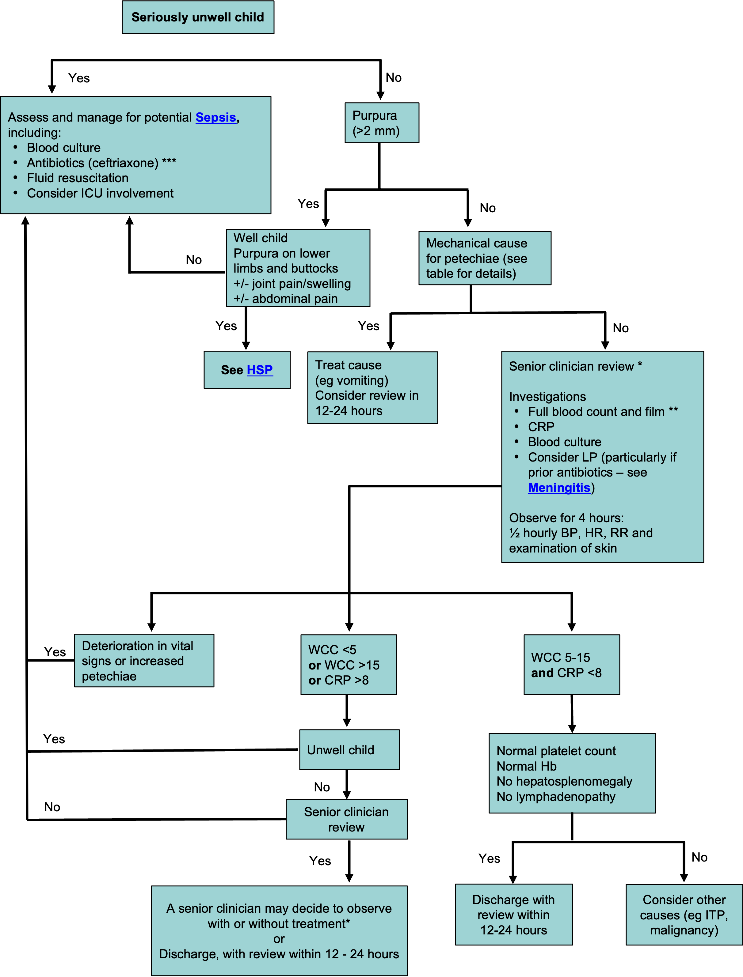 Petechiae and purpura flowchart_feb 2025